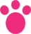 Bottom Paw