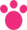Rabbit Paw Icon